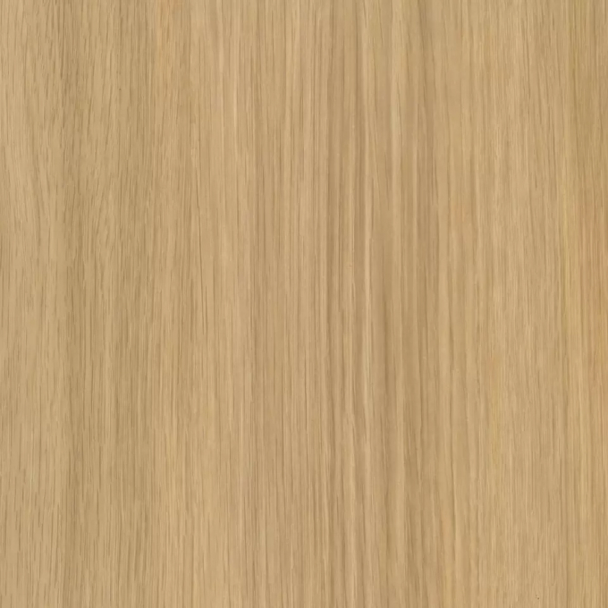 ライト